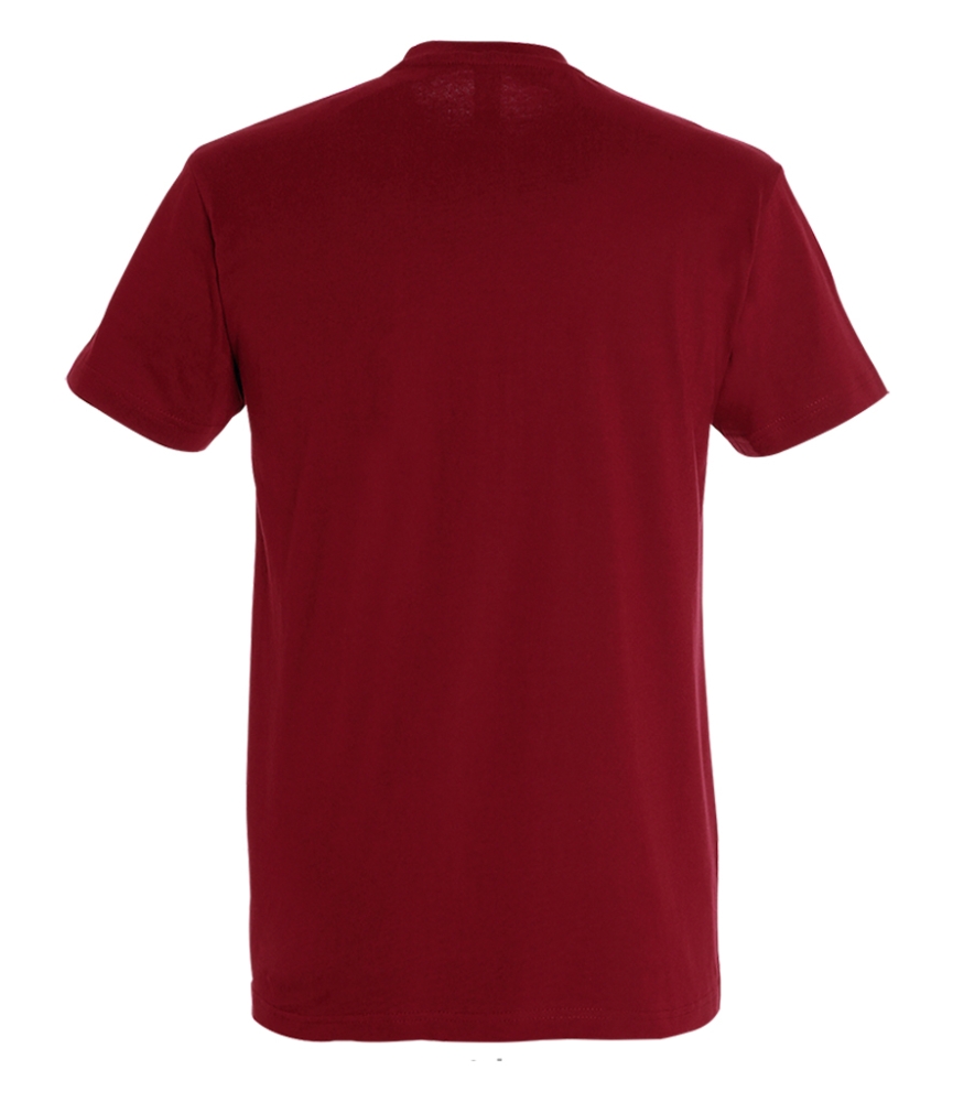 SOL'S Imperial Heavy T-Shirt