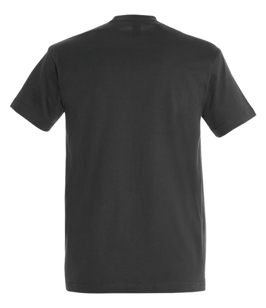 SOL'S Imperial Heavy T-Shirt