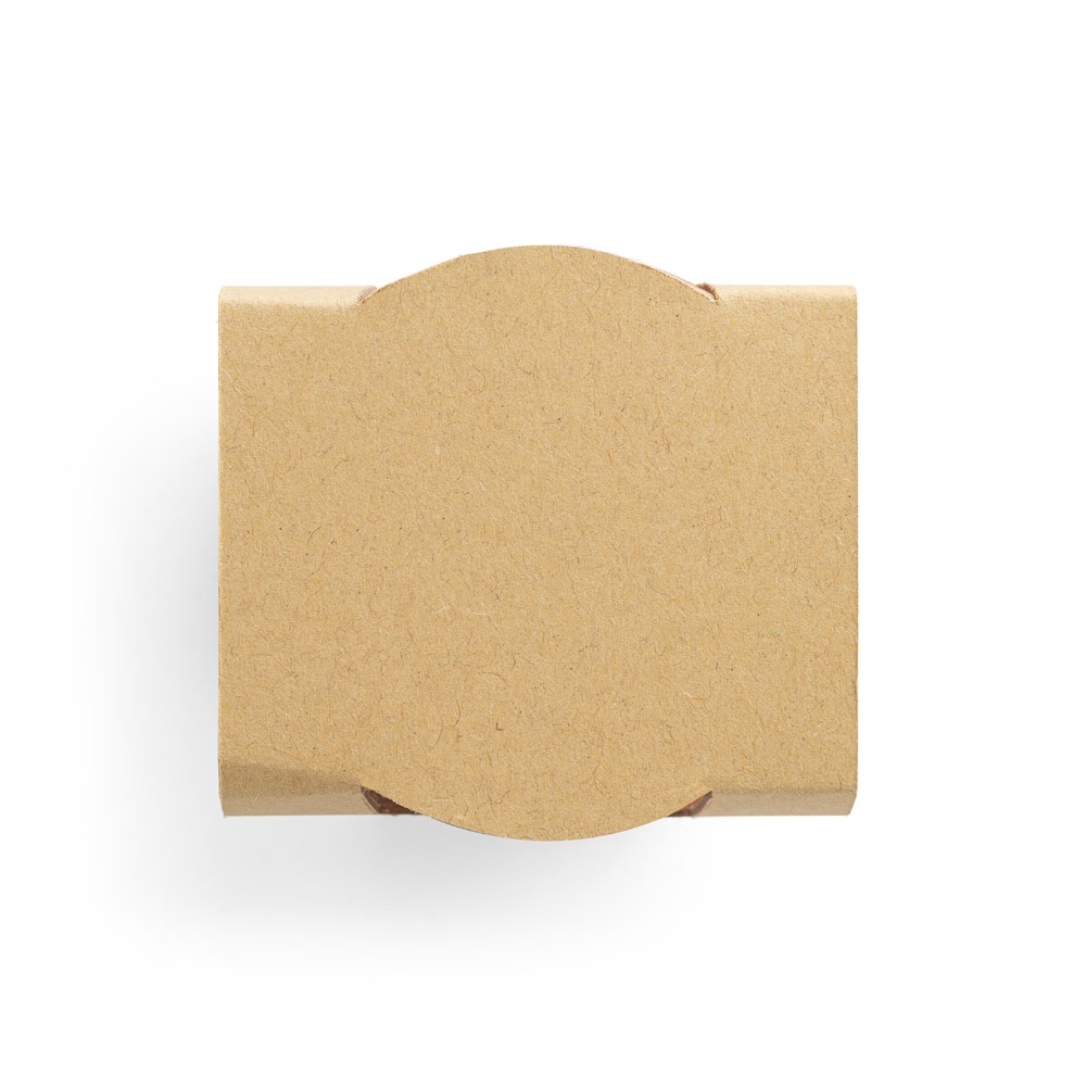 MENTHA. Clay pot with mint