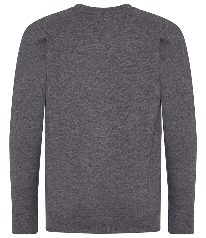 AWDis Academy Kids Raglan Sweatshirt