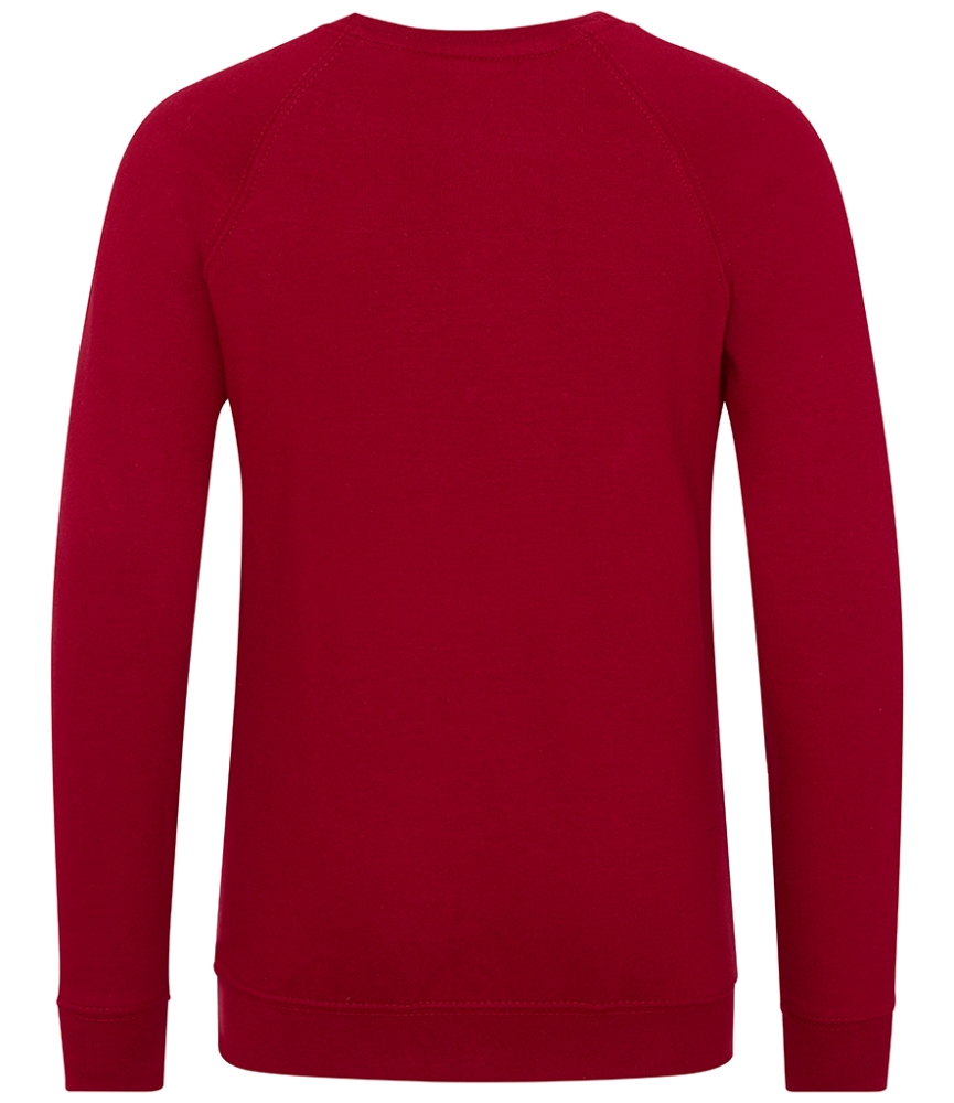 AWDis Academy Kids Raglan Sweatshirt