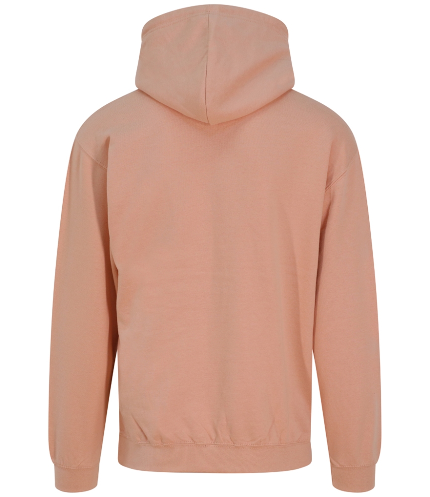 AWDis College Hoodie