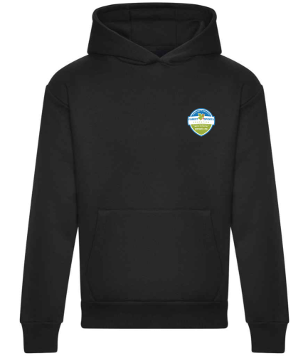 Pro Stars - Unisex Heavy weight high quality hoodie