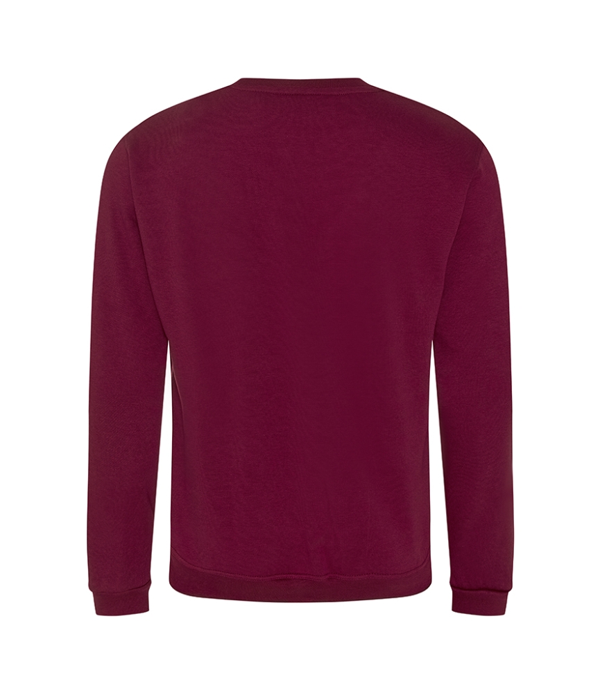 Pro RTX Pro Sweatshirt