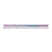 RULER. 30 cm Ruler