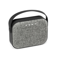 TEDS. Portable speaker with microphone