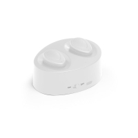 CHARGAFF. Wireless earphones