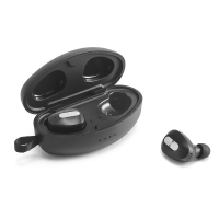 DESCRY. Wireless earphones DESCRY