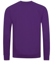 AWDis Academy Raglan Sweatshirt