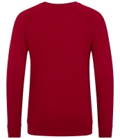 AWDis Academy Kids Raglan Sweatshirt