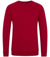 AWDis Academy Kids Raglan Sweatshirt