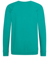 AWDis Academy Kids Raglan Sweatshirt