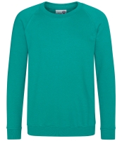 AWDis Academy Kids Raglan Sweatshirt