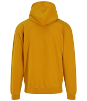 AWDis College Hoodie