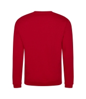 Pro RTX Pro Sweatshirt