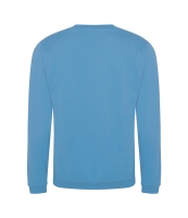 Pro RTX Pro Sweatshirt